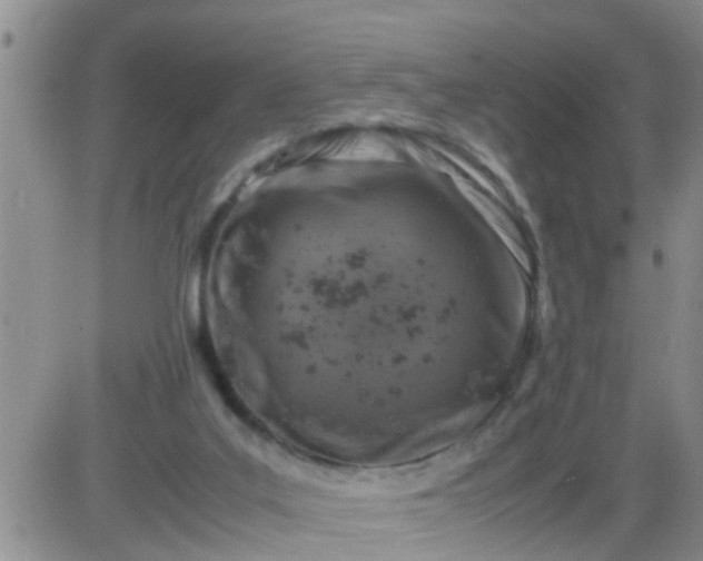 X0000085310019200703231935