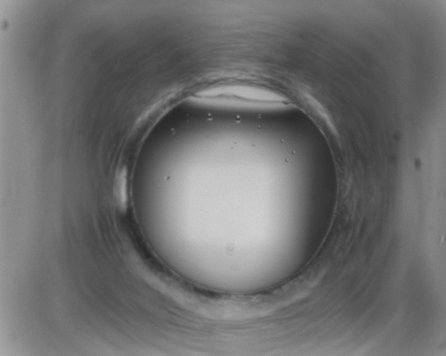 X0000085310020200703231935