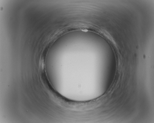 X0000085310021200703231935