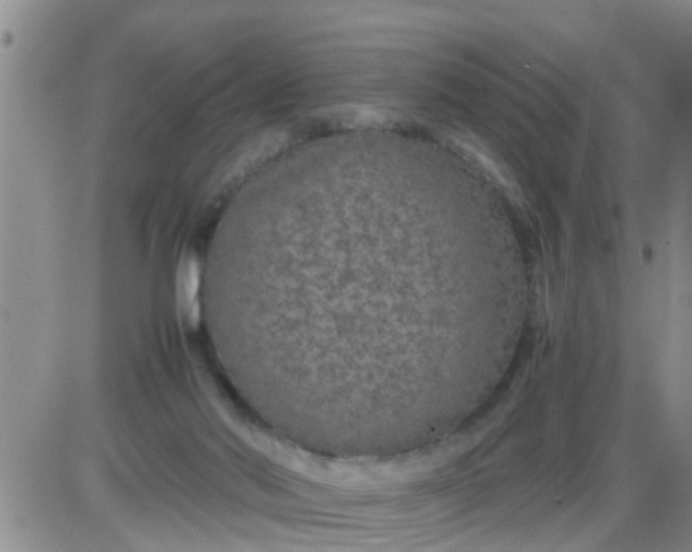 X0000085310022200703231935