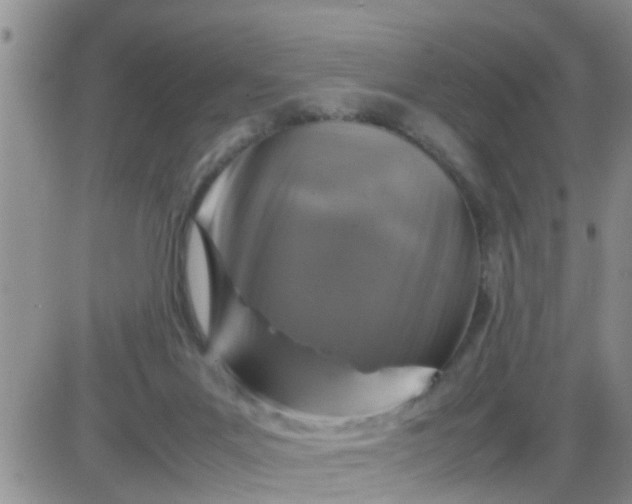 X0000085310023200703231935