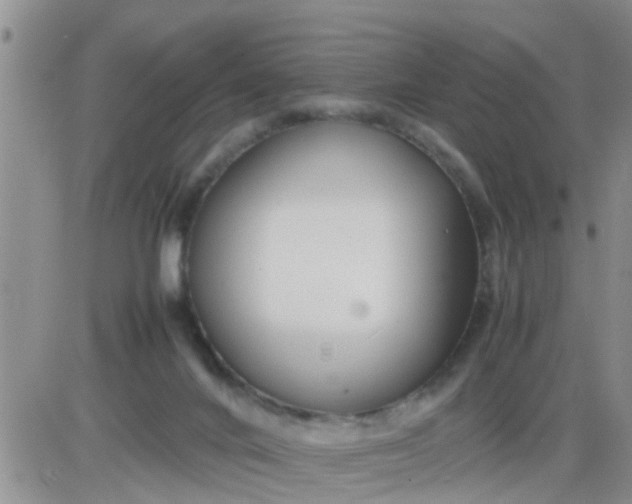 X0000085310024200703231935