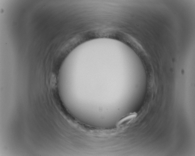 X0000085310025200703231935