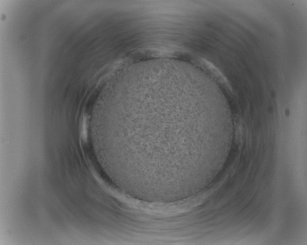 X0000085310026200703231935