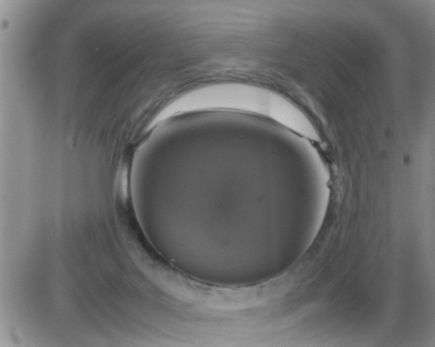 X0000085310027200703231935