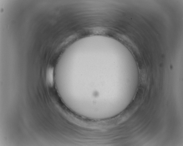 X0000085310028200703231935