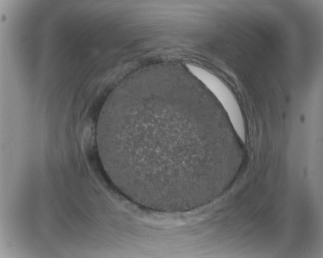 X0000085310029200703231935