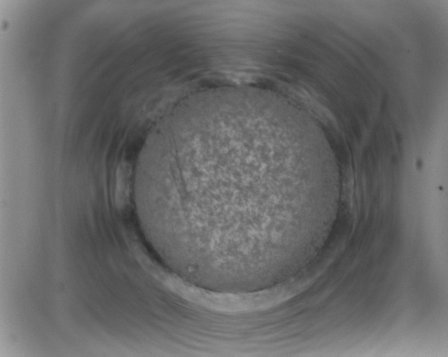 X0000085310030200703231935