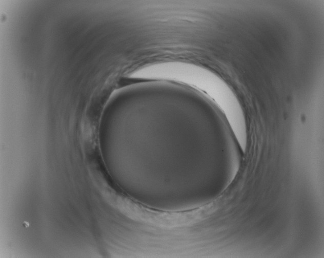 X0000085310031200703231935