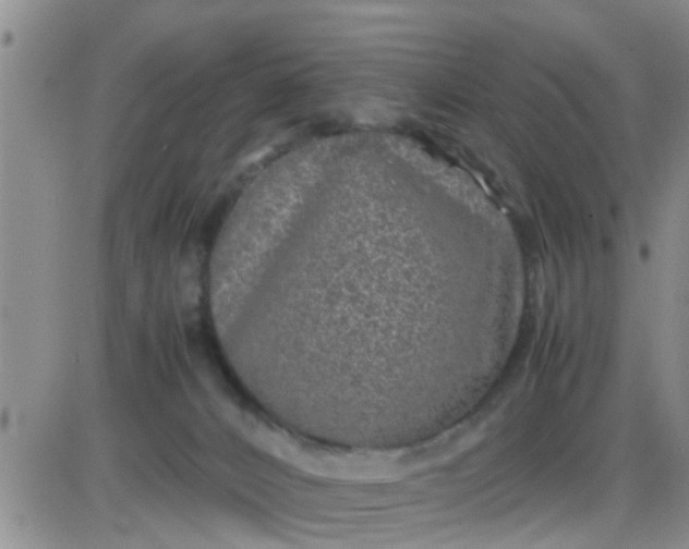 X0000085310032200703231935