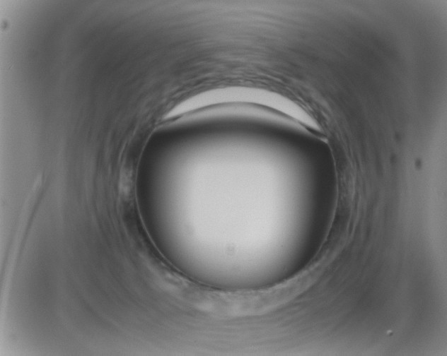 X0000085310033200703231935