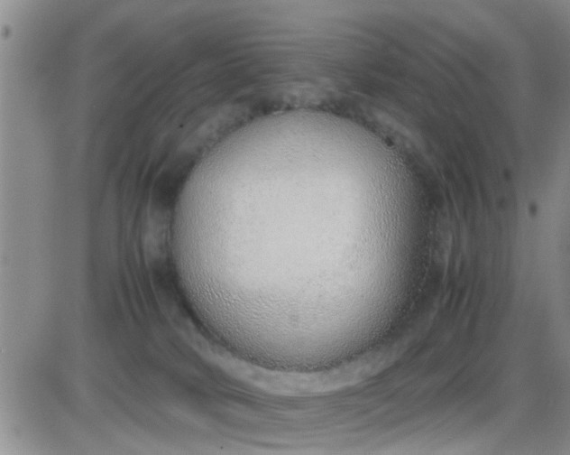 X0000085310034200703231935