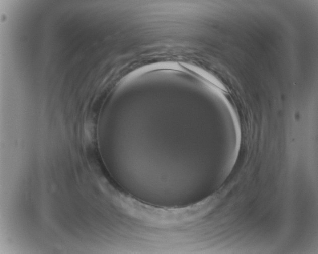 X0000085310035200703231935