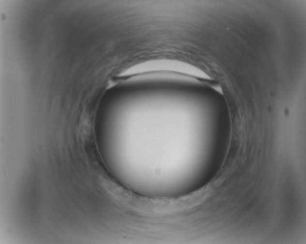 X0000085310037200703231935