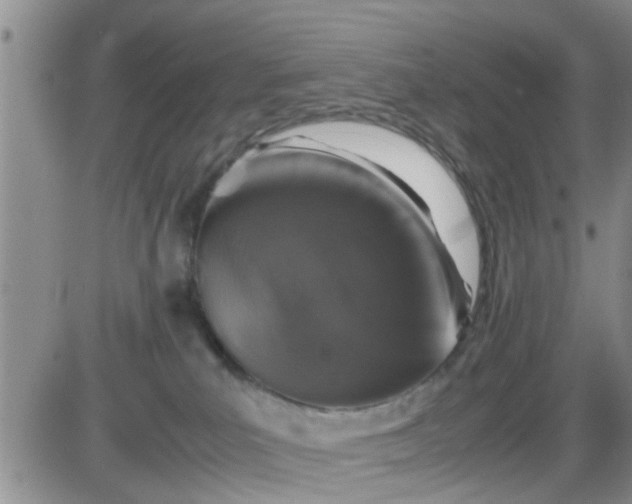 X0000085310039200703231935