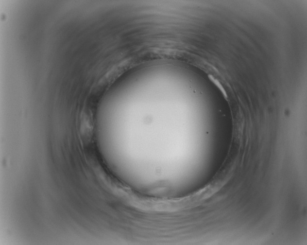 X0000085310040200703231935