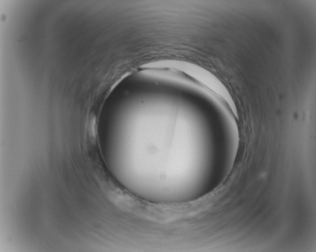 X0000085310041200703231935