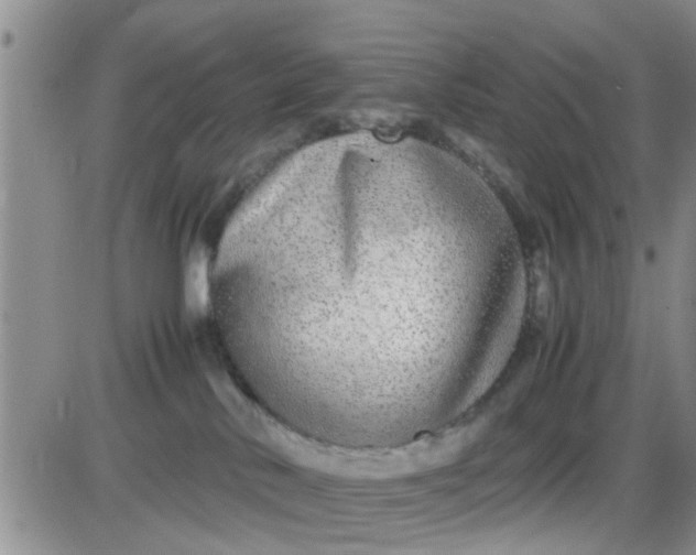 X0000085310042200703231935