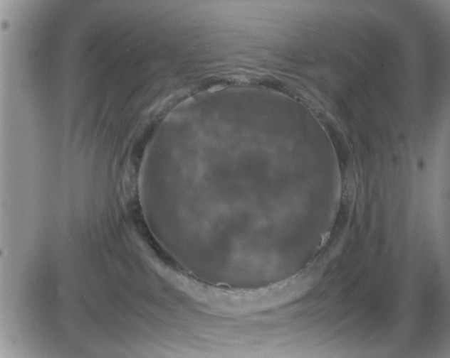 X0000085310043200703231935