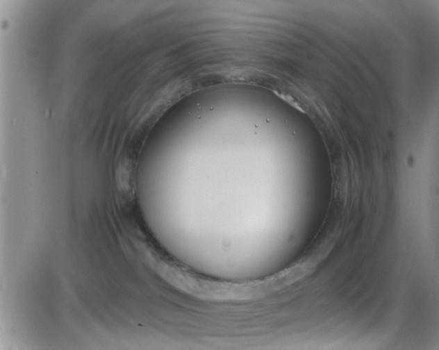 X0000085310044200703231935