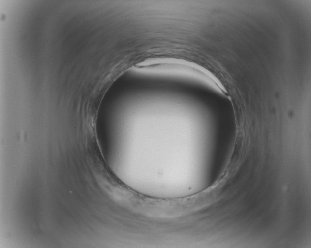 X0000085310045200703231935