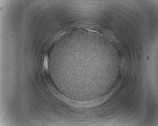 X0000085310046200703231935