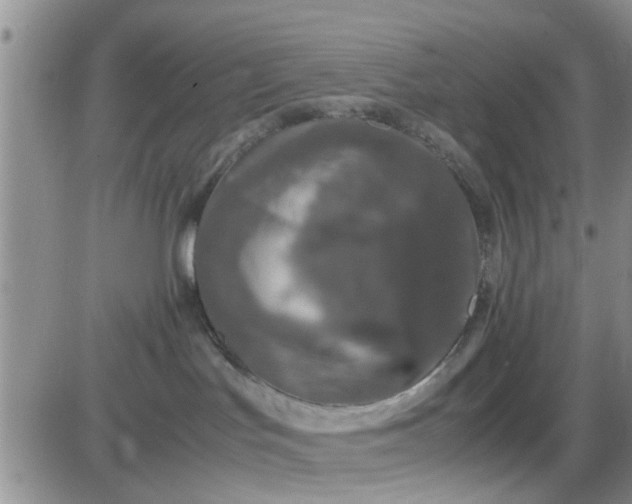 X0000085310047200703231935