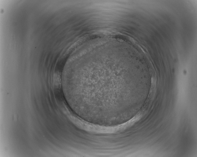 X0000085310048200703231935