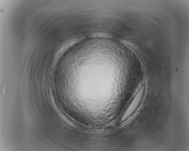 X0000085310049200703231934