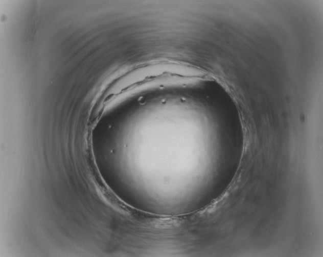 X0000085310050200703231934