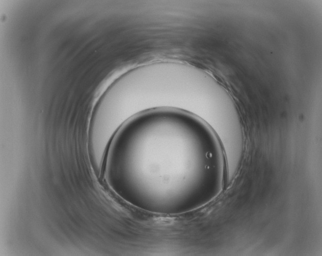 X0000085310052200703231934