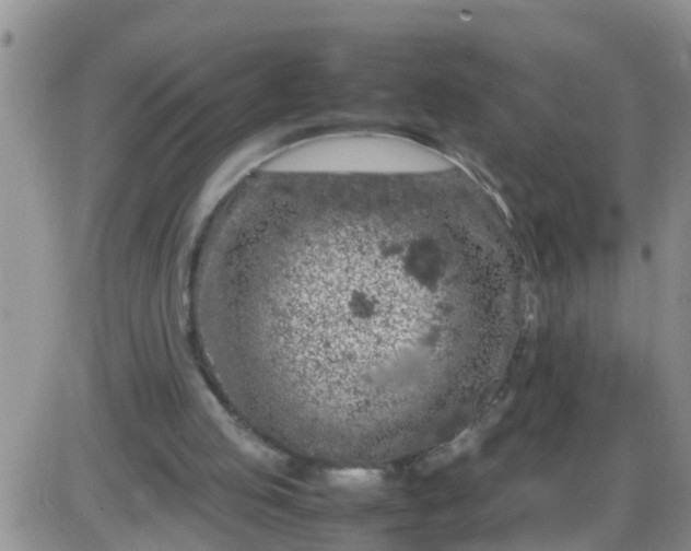 X0000085310053200703231934