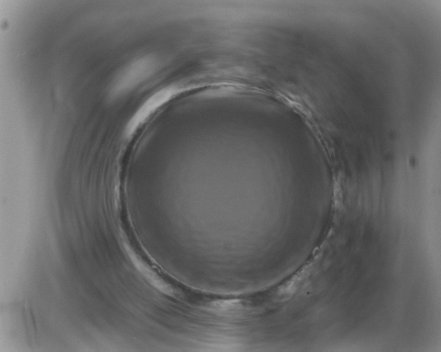 X0000085310054200703231934