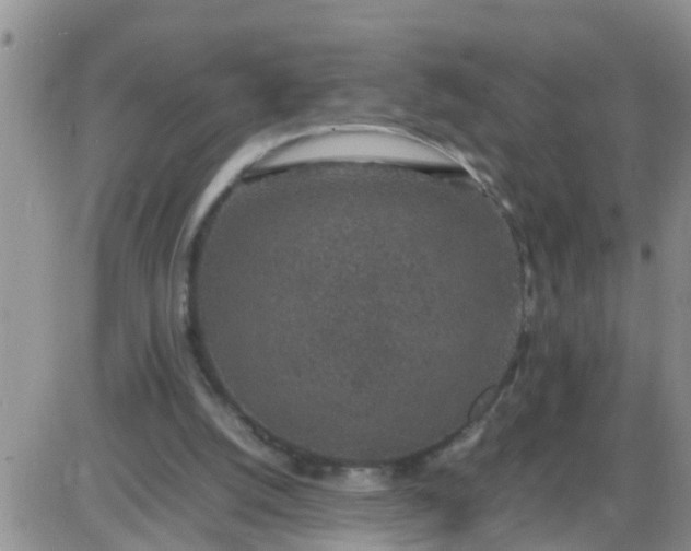 X0000085310056200703231934