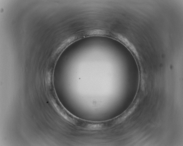 X0000085310057200703231934