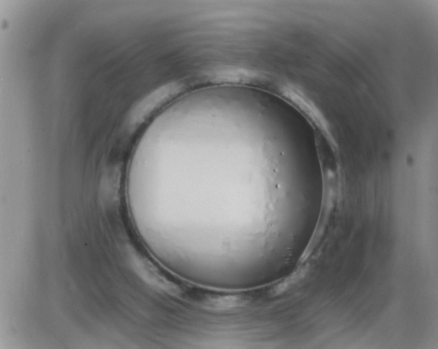 X0000085310058200703231934