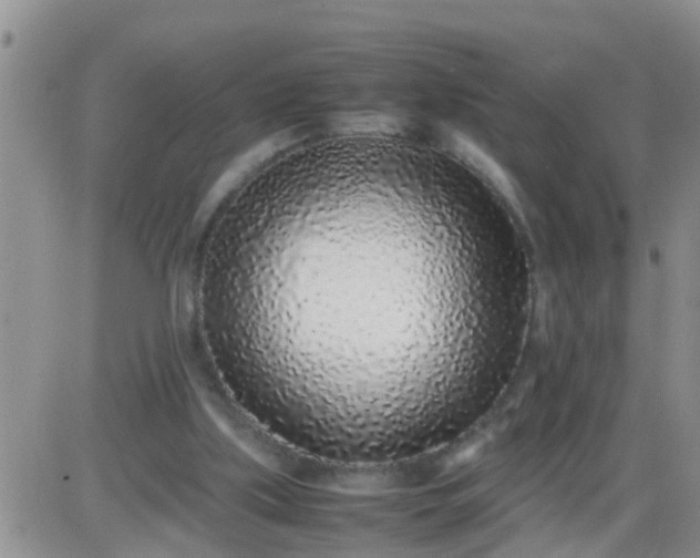 X0000085310059200703231934