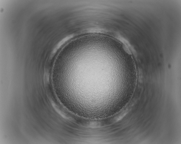 X0000085310060200703231934