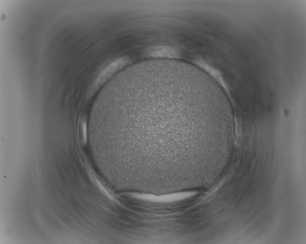 X0000085310061200703231934