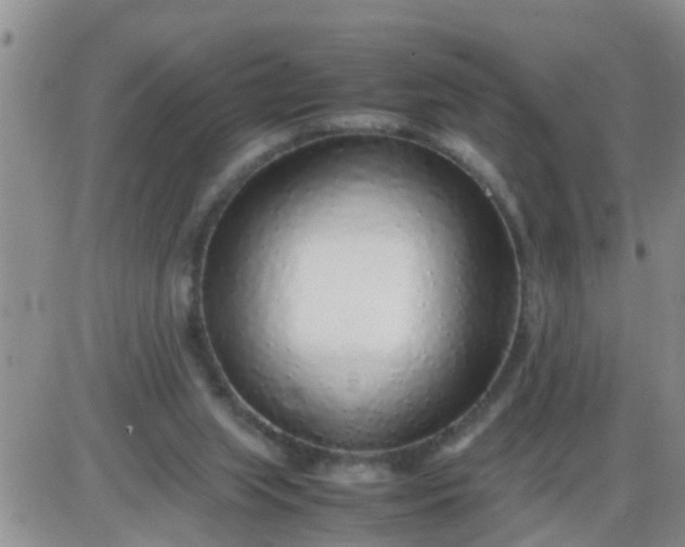 X0000085310063200703231934