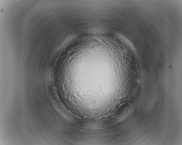 X0000085310065200703231934