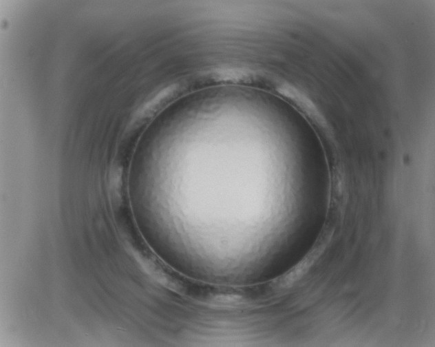 X0000085310066200703231934