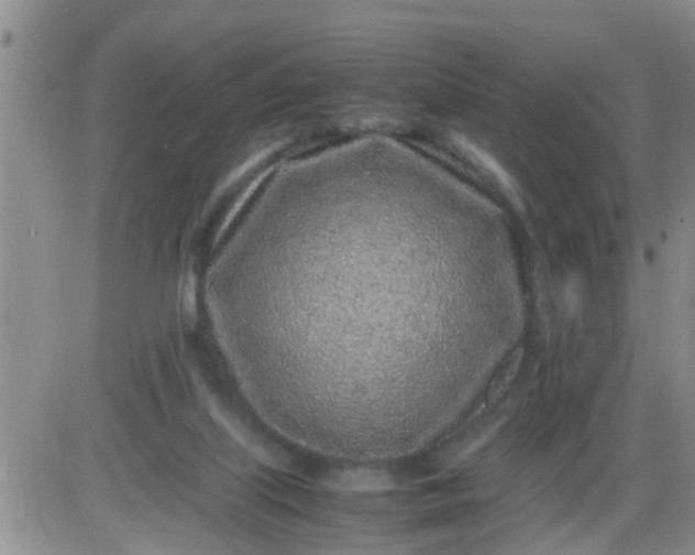 X0000085310067200703231934