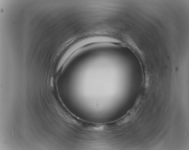 X0000085310068200703231934