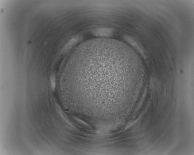 X0000085310069200703231934