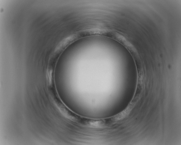 X0000085310070200703231934