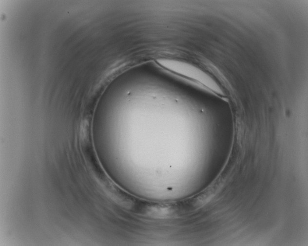 X0000085310071200703231934