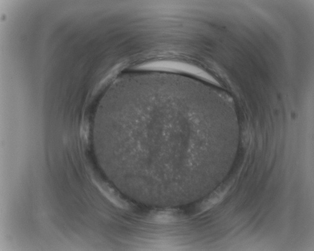 X0000085310072200703231934