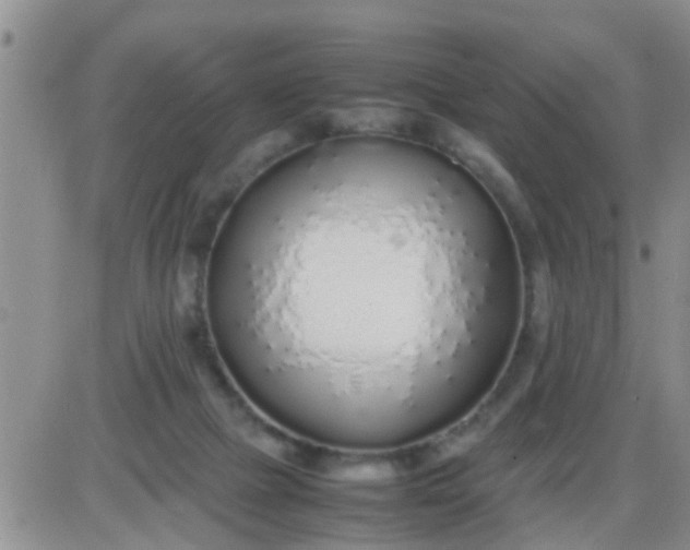 X0000085310073200703231934