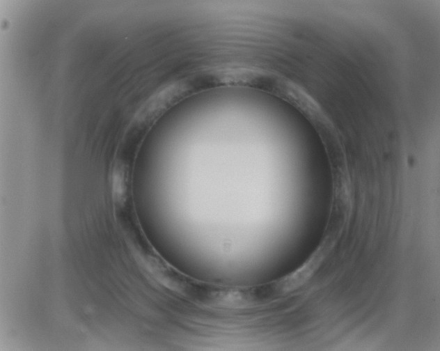 X0000085310074200703231934